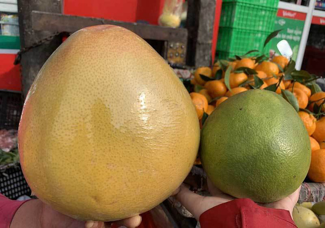   Bưởi Trung Quốc nặng từ 1,5-3kg/quả. Trong ảnh quả bưởi vàng là bưởi Trung Quốc, còn quả bưởi xanh là bưởi Da xanh của Việt Nam 