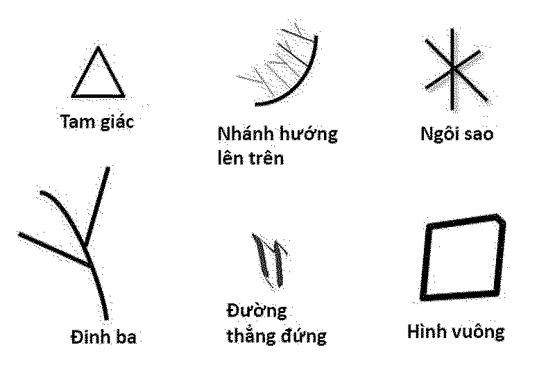 5-duong-van-tay-bao-hieu-chinh-xac-van-menh-ty-phu-cua-ban