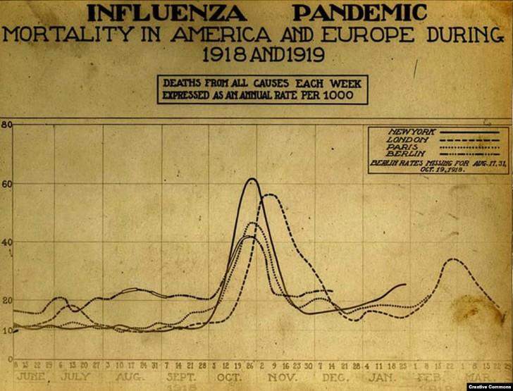 Biểu đồ cho thấy số người chết tăng vọt vào mùa thu năm 1918, khi “làn sống thứ hai” của vi rút quét qua thế giới. Bệnh cúm đặc biệt gây tử vong ở những người đang trong giai đoạn sung sức, với độ tuổi trung bình là 28.