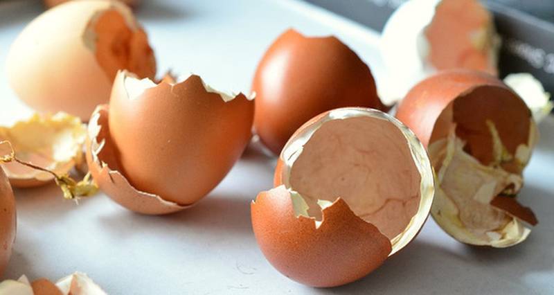 Biết được 5 công dụng này của vỏ trứng bạn sẽ không nỡ vứt chúng đi nữa - Ảnh 2.