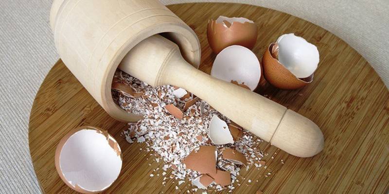 Biết được 5 công dụng này của vỏ trứng bạn sẽ không nỡ vứt chúng đi nữa - Ảnh 3.