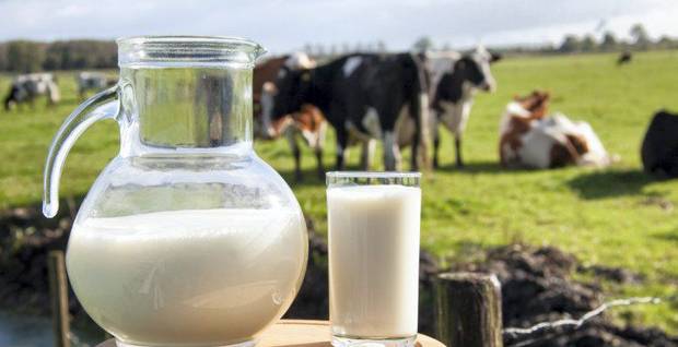 Thực phẩm nhiễm khuẩn như sữa tươi chưa qua xử lí rất nguy hiểm