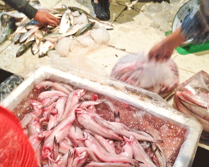 Rợn người với cách bảo quản hải sản bằng urê, thuốc tẩy
