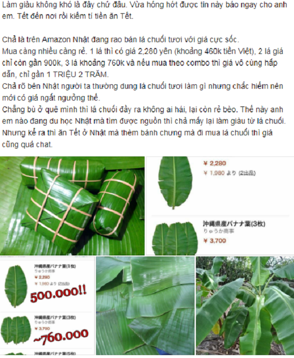 Lá chuối Việt Nam được rao bán tại Nhật giá 500.000 đồng/chiếc