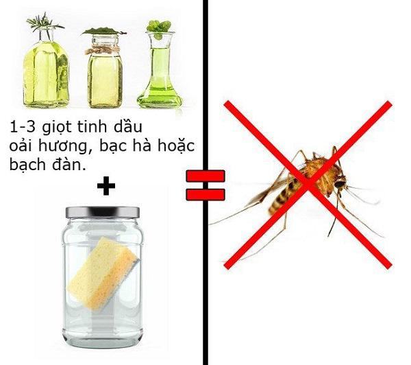 3 cách đuổi sạch muỗi, gián, kiến ra khỏi nhà 