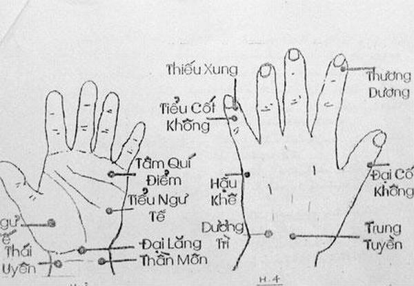 Ấn 5 đầu ngón tay tự kiểm tra sức khỏe và bệnh tật của các cơ quan nội tạng