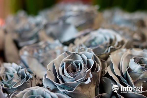 Bó hoa hồng giá 65 triệu đồng đại gia mua tặng vợ dịp Valentine có gì đặc biệt?