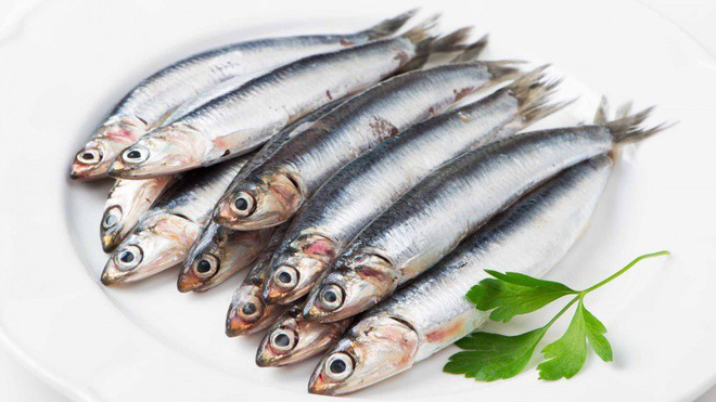 Danh sách 11 loại cá chứa nhiều chất dinh dưỡng có lợi cho sức khỏe