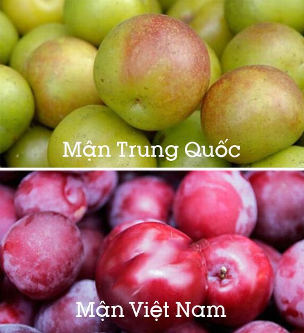3 mẹo phân biệt mận Việt Nam và mận Trung Quốc đơn giản nhất